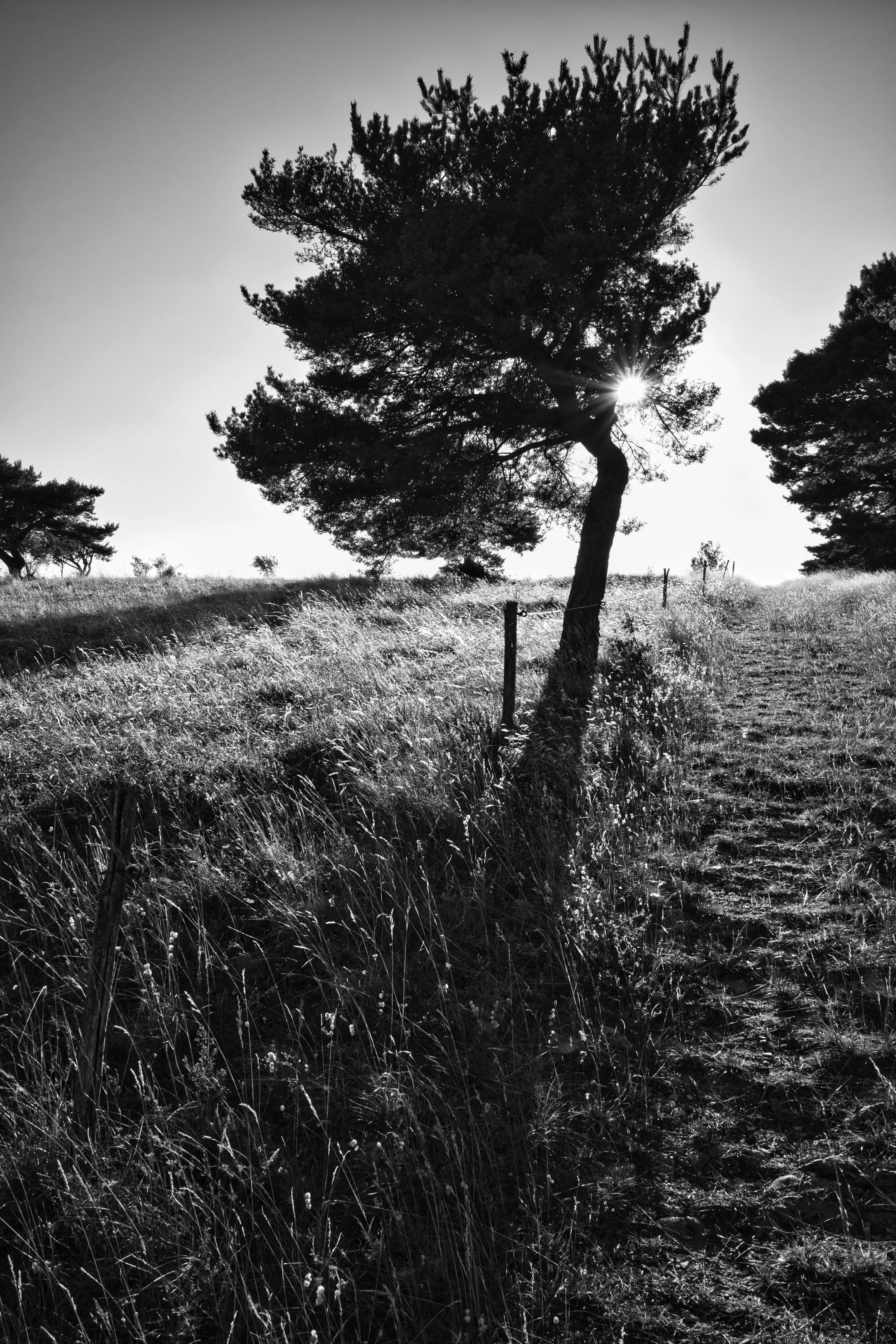Photo du 26/07/2025