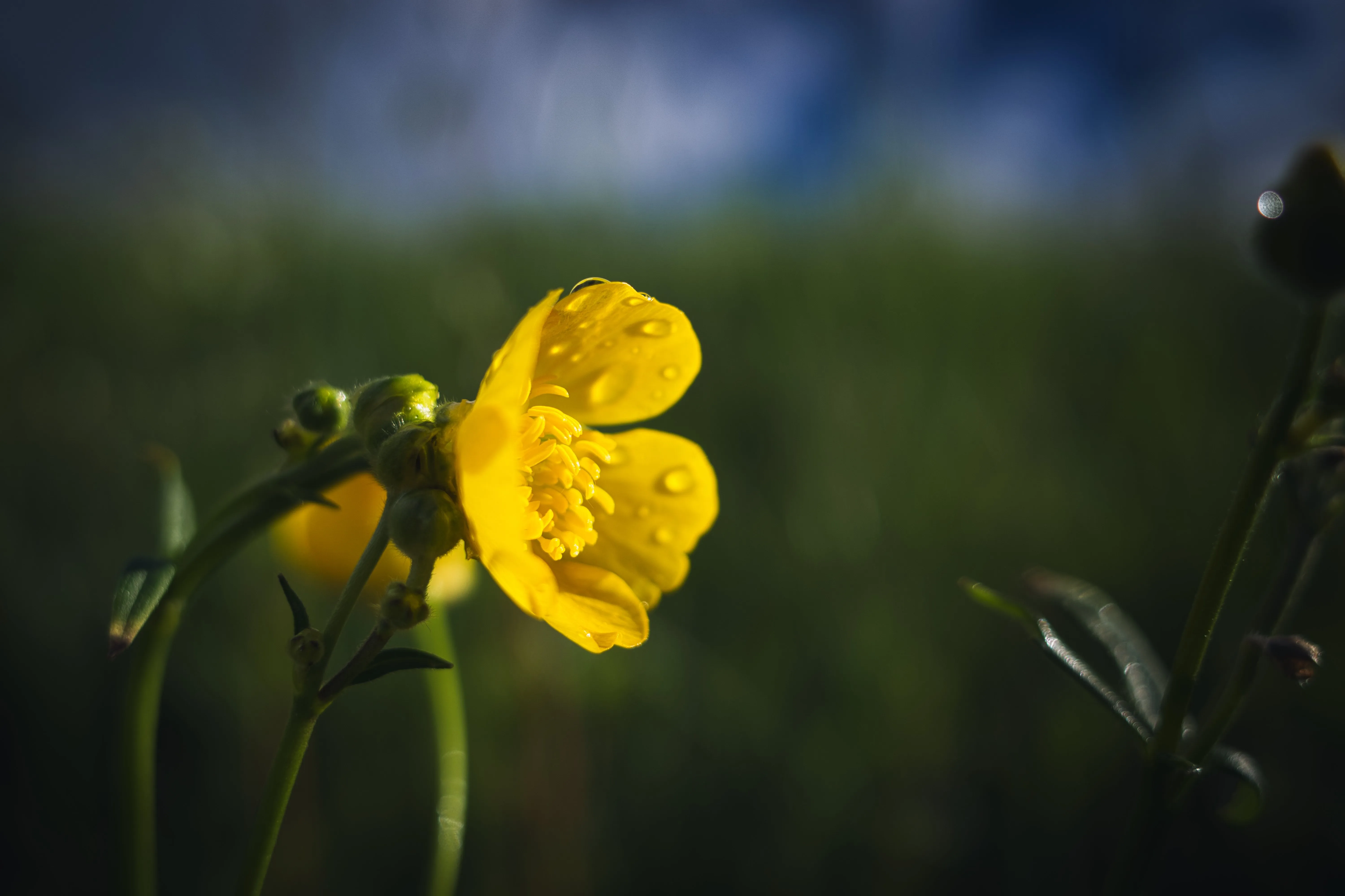Photo du 23/04/2026