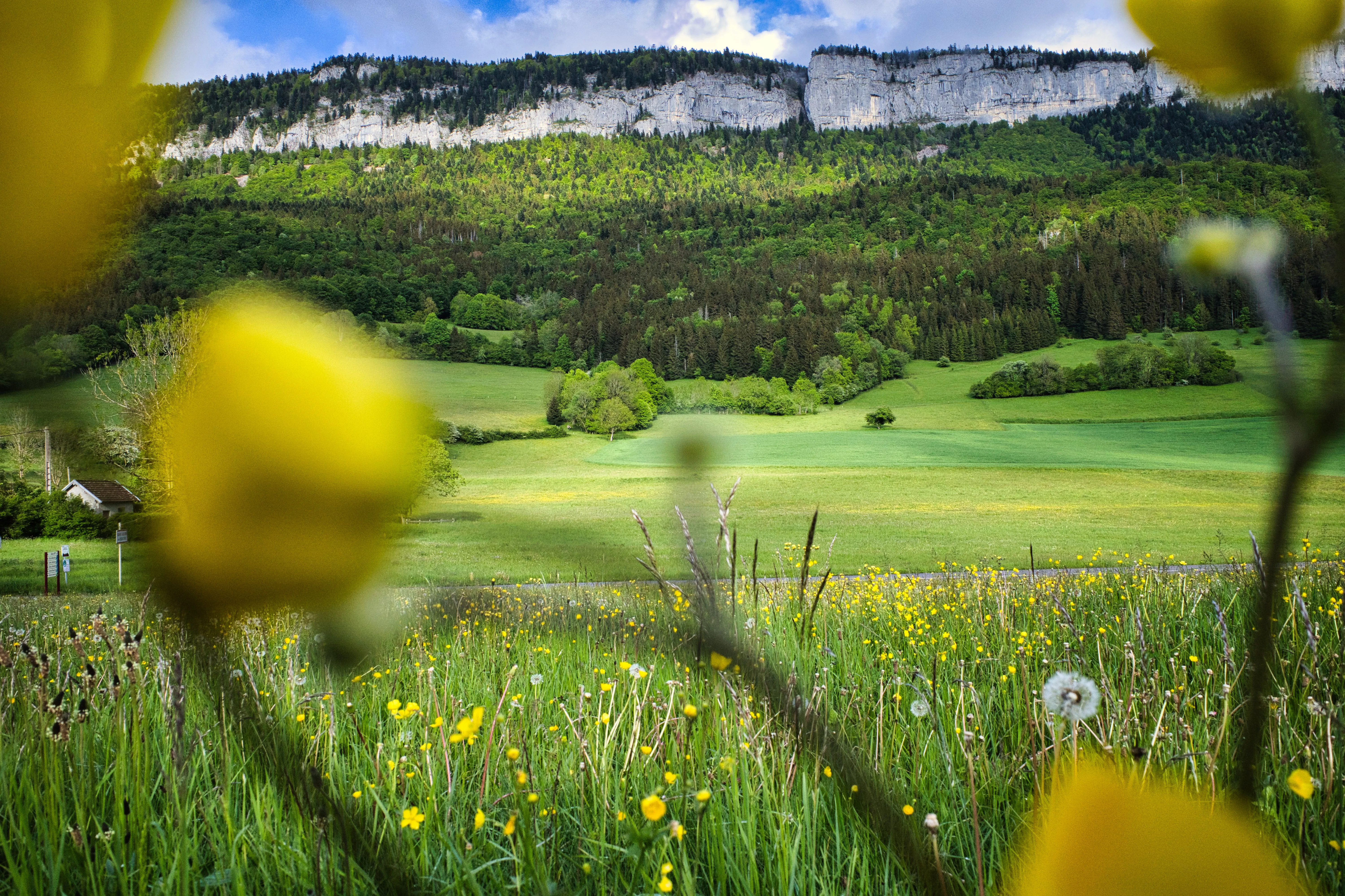 Photo du 27/04/2026