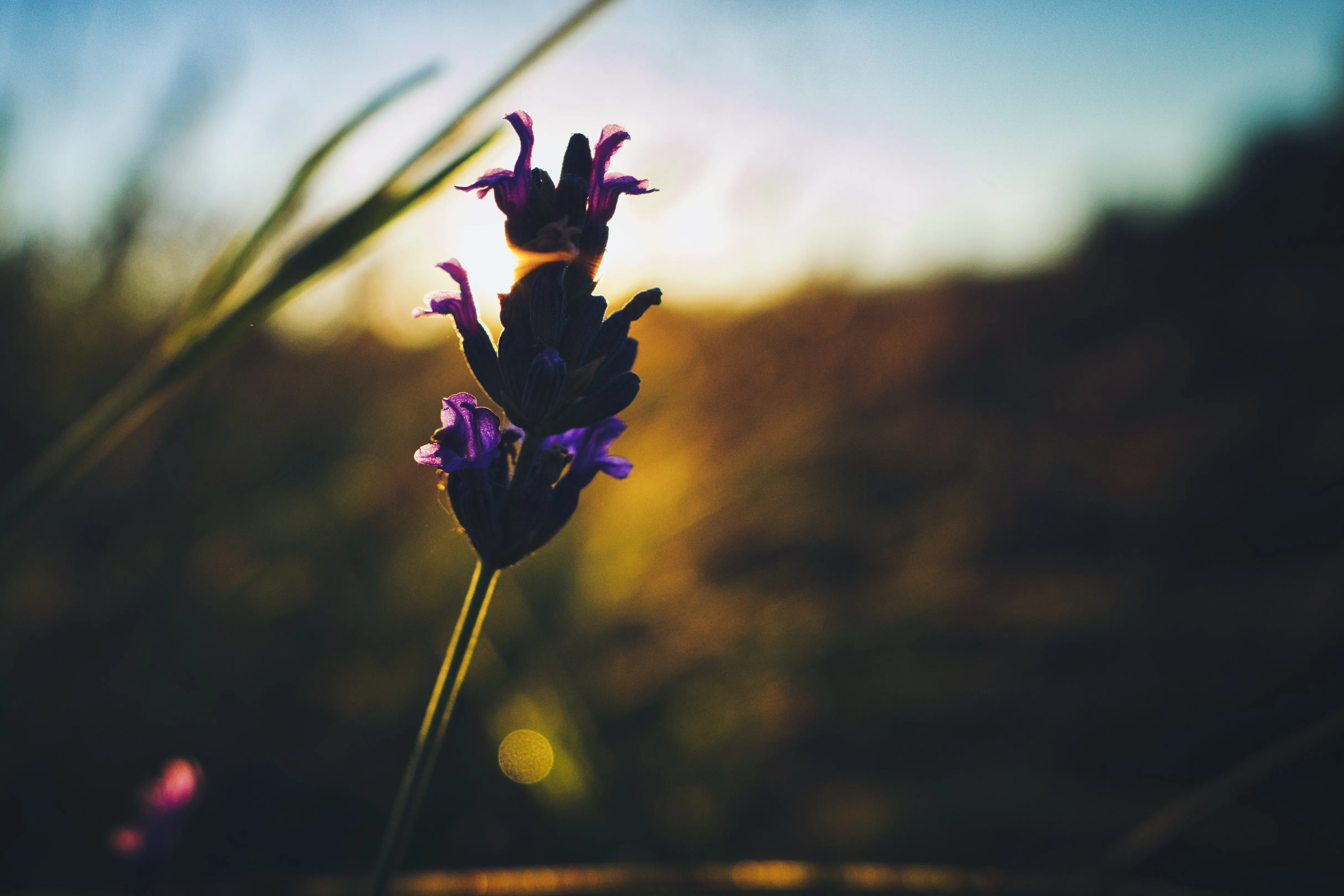 Photo du 07/07/2026