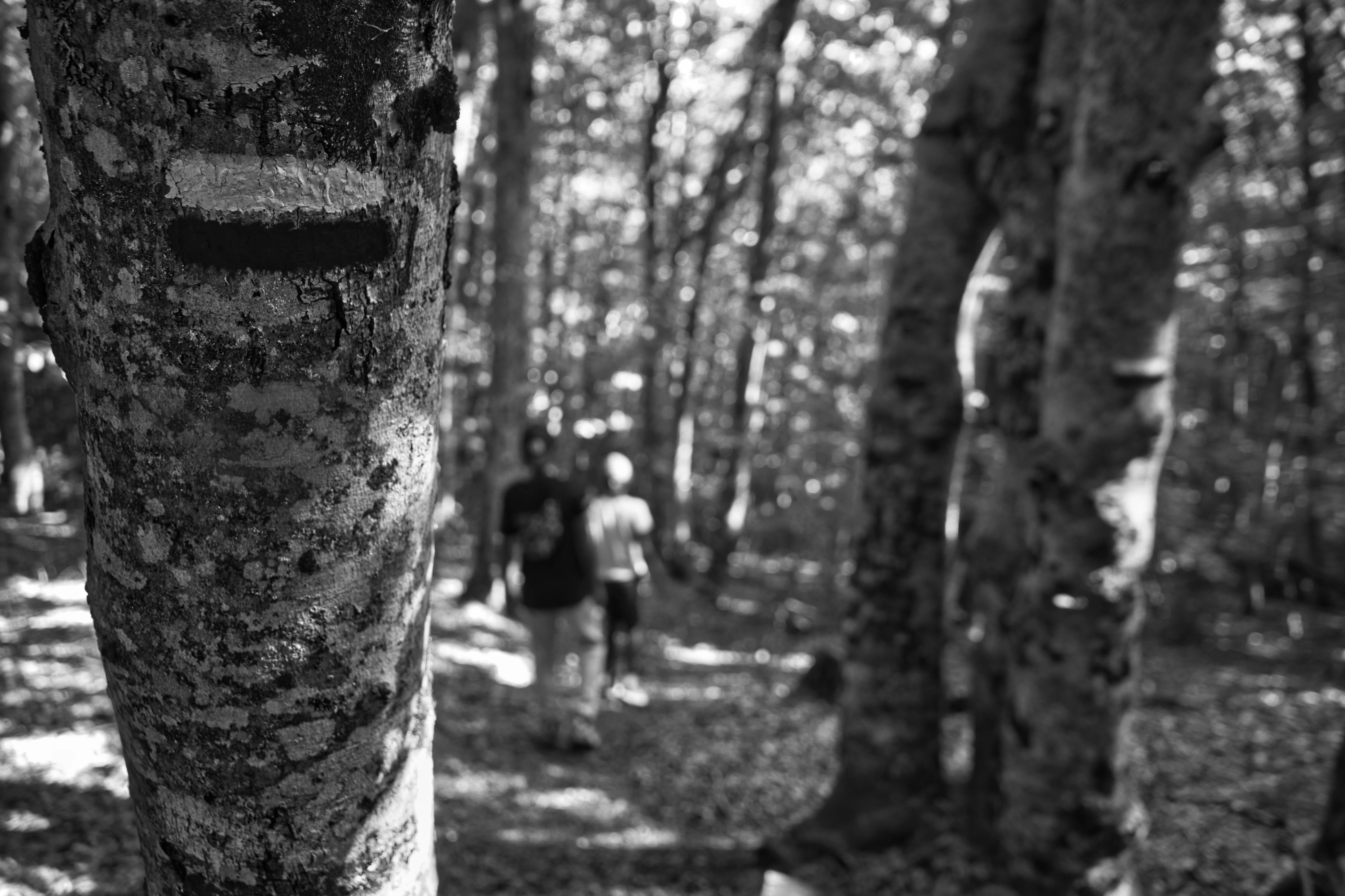 Photo du 12/07/2026
