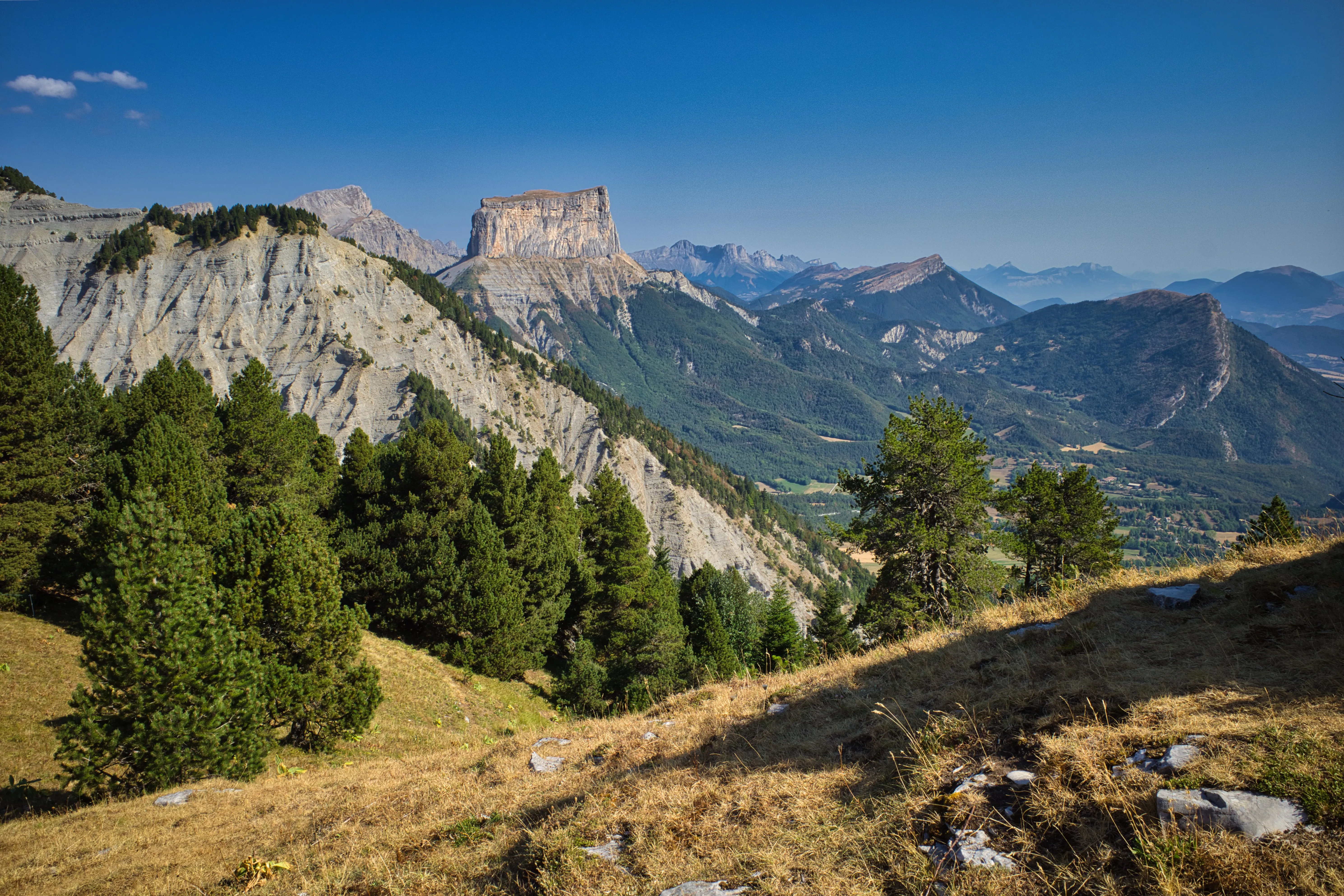 Photo du 25/07/2026